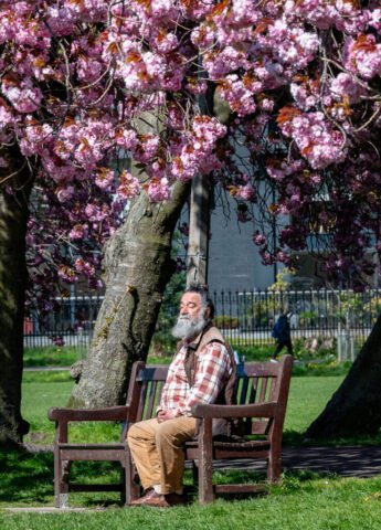 A moment of Mindfulness in the Meadows., Edinburgh