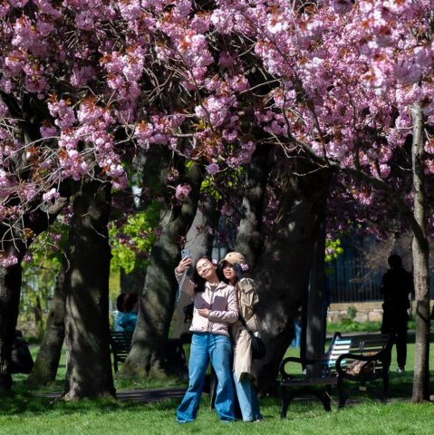 Insti moment in the Meadows., Edinburgh