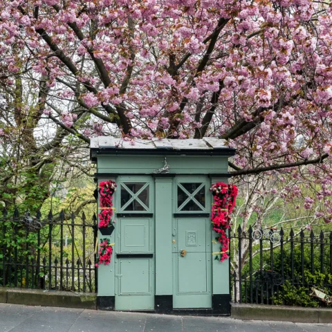 Repurposed Polis box on Market Street, Edinburgh