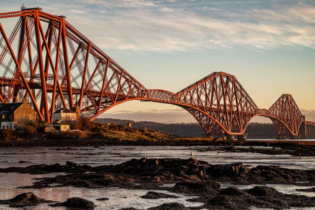 Lone Seagull North Queensferry