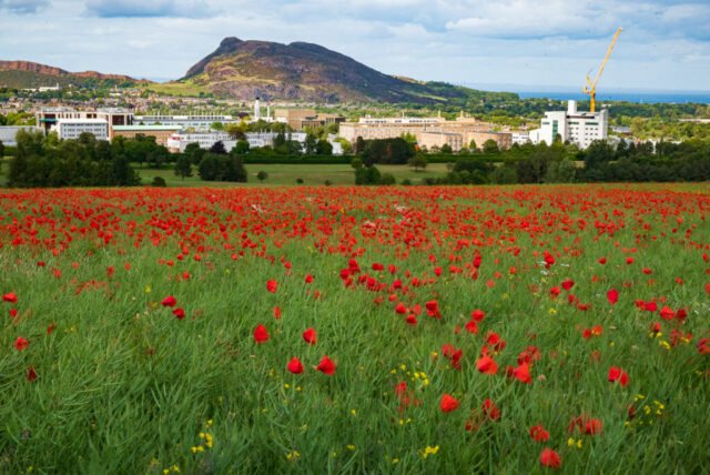 Braid Hills, Edinburgh