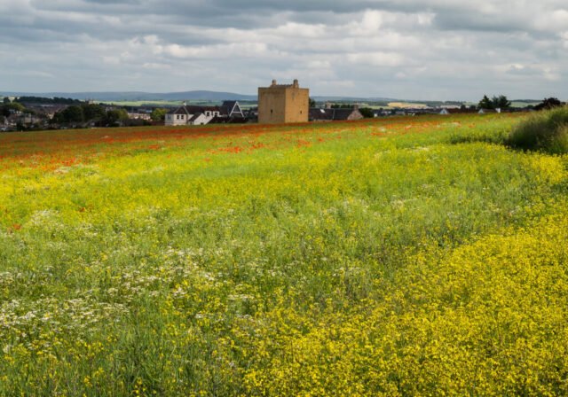 Braid Hills, Edinburgh