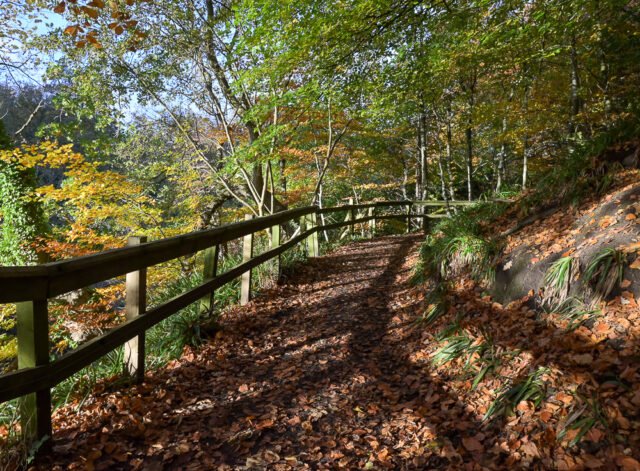 Autumn walk by the River Almond, Cramond