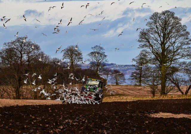 Winter plough in Cramond
